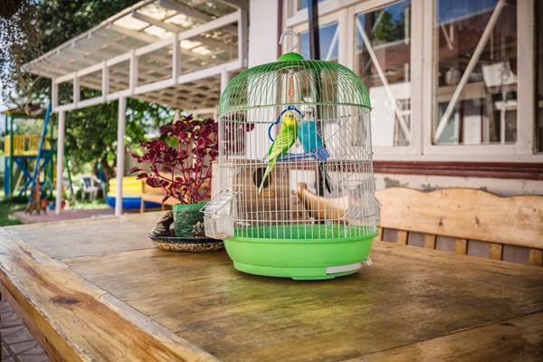 Village Rooms Guesthouse Ivanovka Ngoại thất bức ảnh